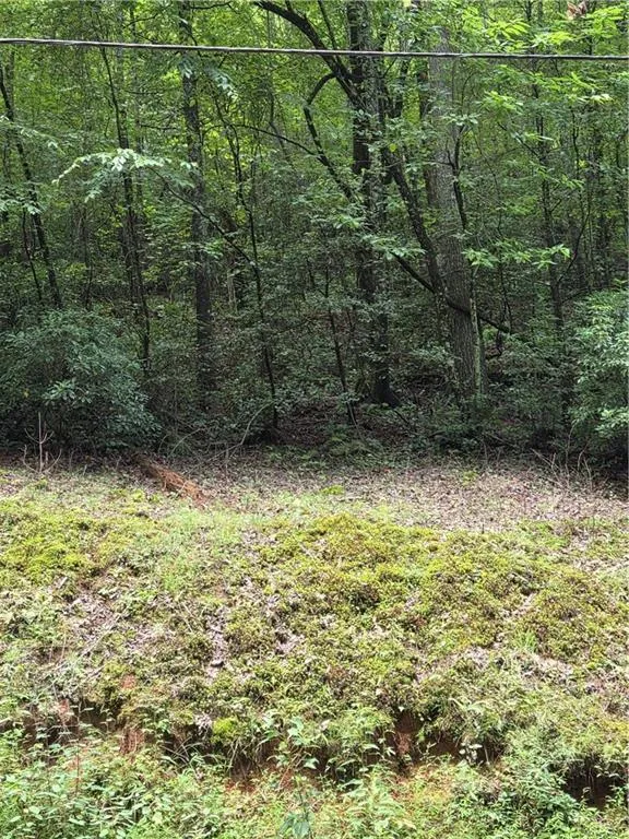00 Chopped Oak Road Ellijay, GA 30540