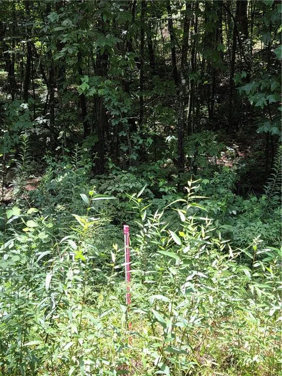 00 Chopped Oak Road Ellijay, GA 30540