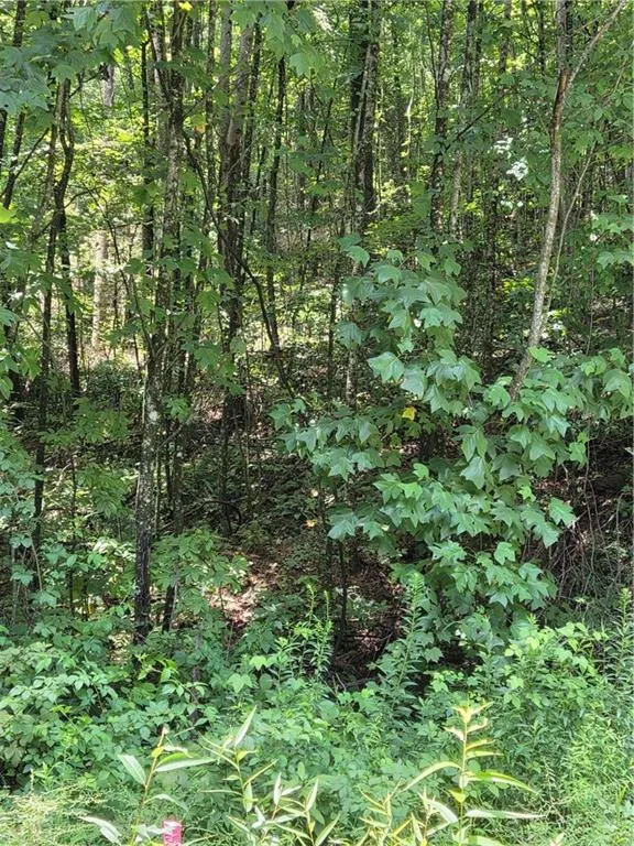 00 Chopped Oak Road Ellijay, GA 30540