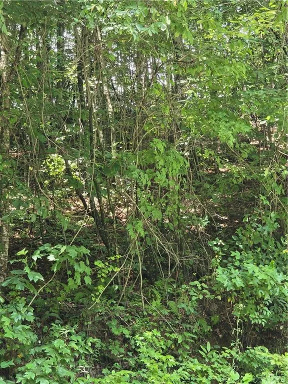 00 Chopped Oak Road Ellijay, GA 30540
