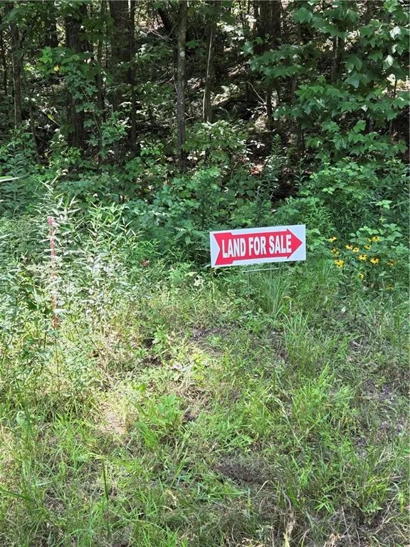 00 Chopped Oak Road Ellijay, GA 30540