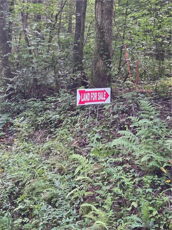 00 Chopped Oak Road Ellijay, GA 30540