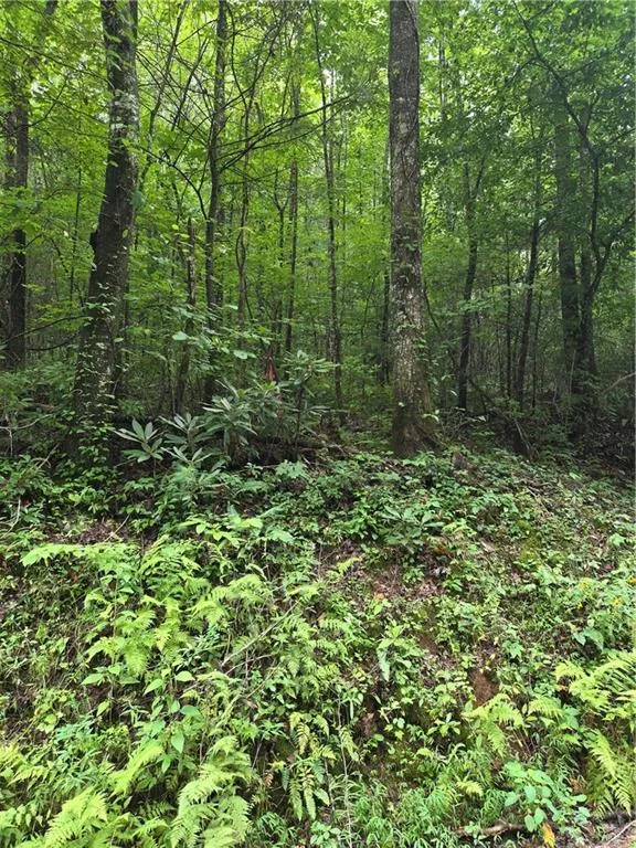 00 Chopped Oak Road Ellijay, GA 30540