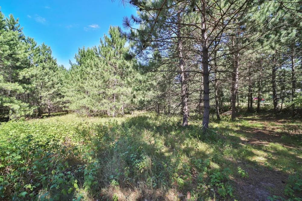 16310 Pristine Pine Court Brainerd, MN 56401