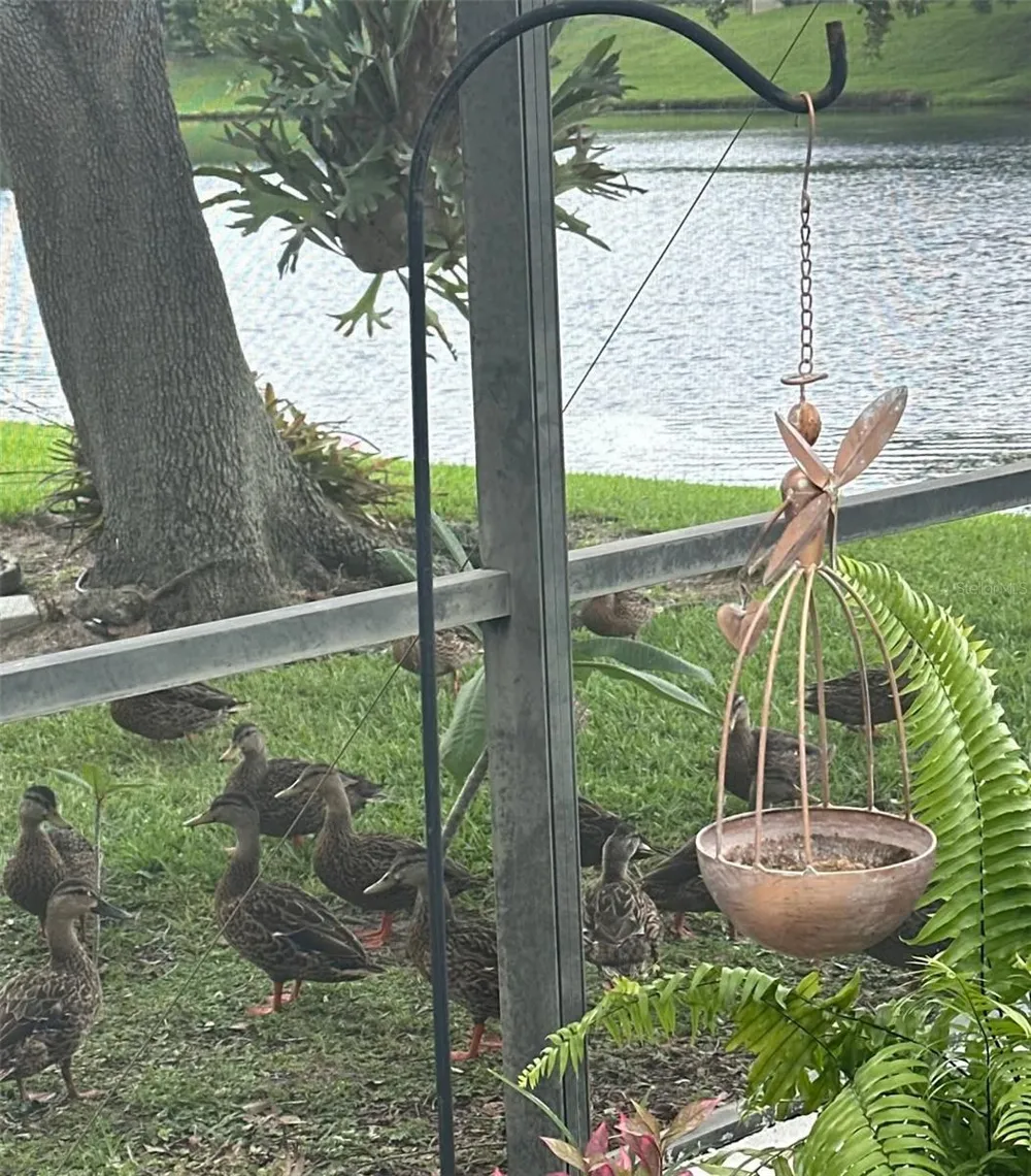 2848 ALOMA LAKE RUN Oviedo, FL 32765
