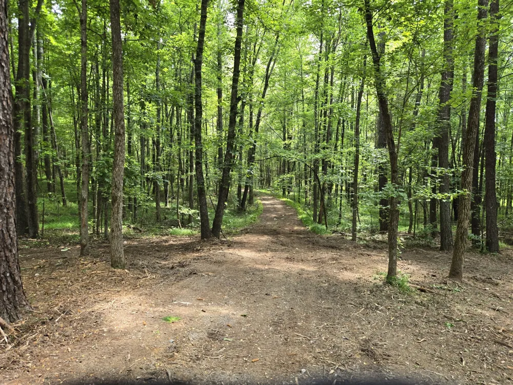 0 Webb Road Summertown, TN 38483
