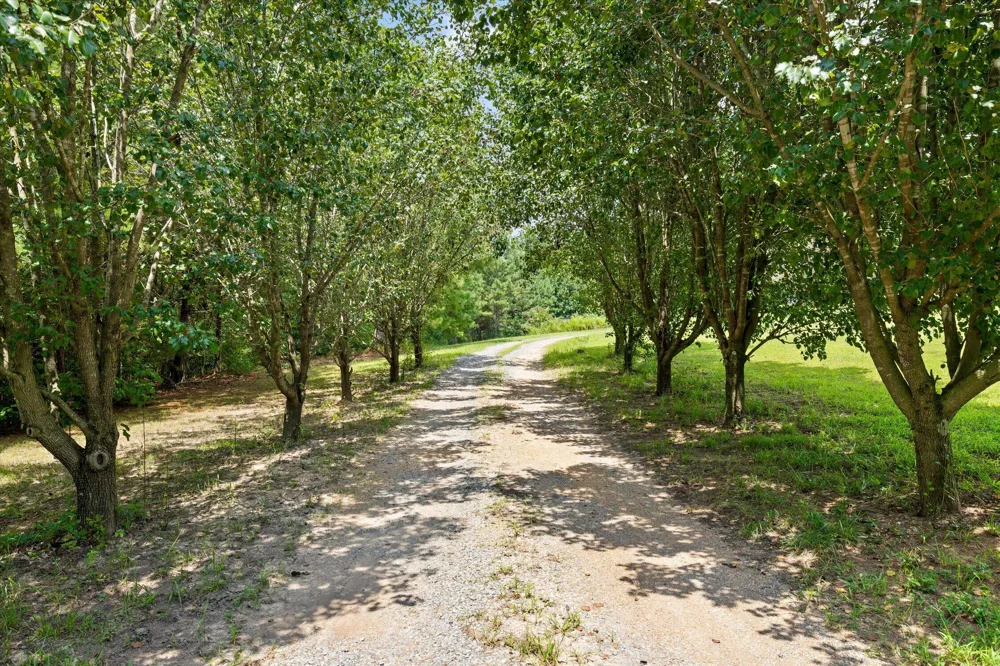 249 Blackfoot Drive Crandall, GA 30711