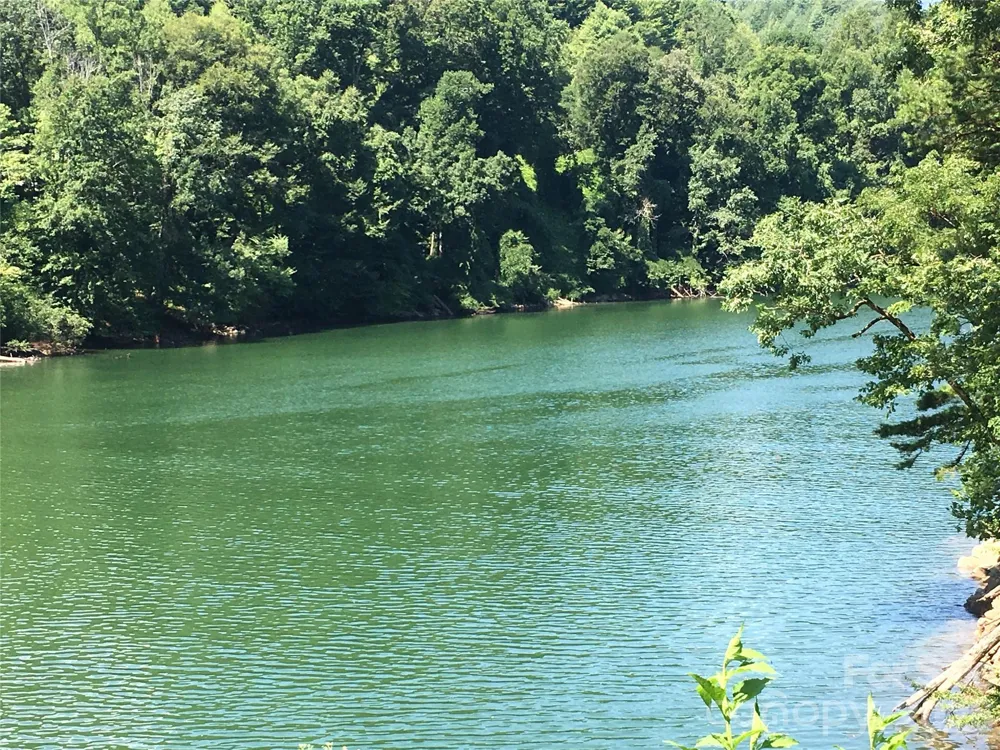 223 Alarka Point Bryson City, NC 28713