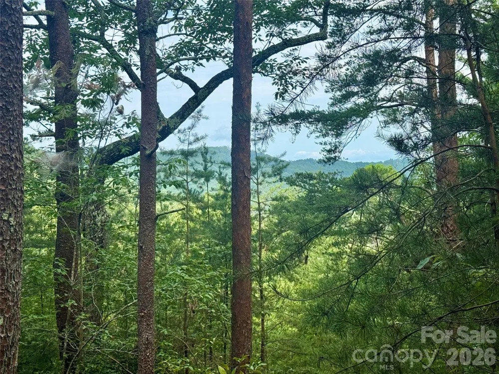 V/L Tahawus Drive #92 Bostic, NC 28018