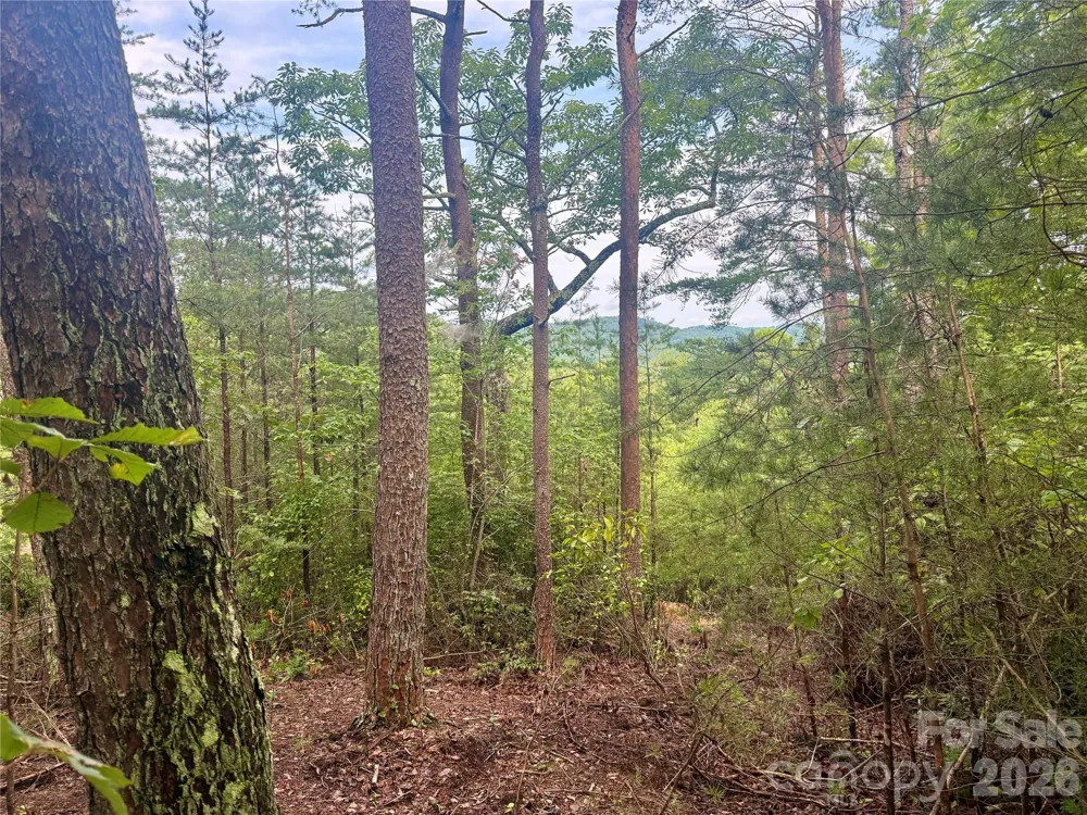 V/L Tahawus Drive #92 Bostic, NC 28018