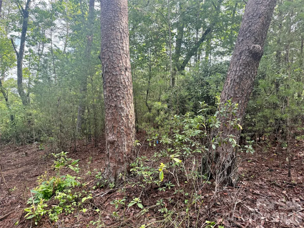 V/L Tahawus Drive #92 Bostic, NC 28018