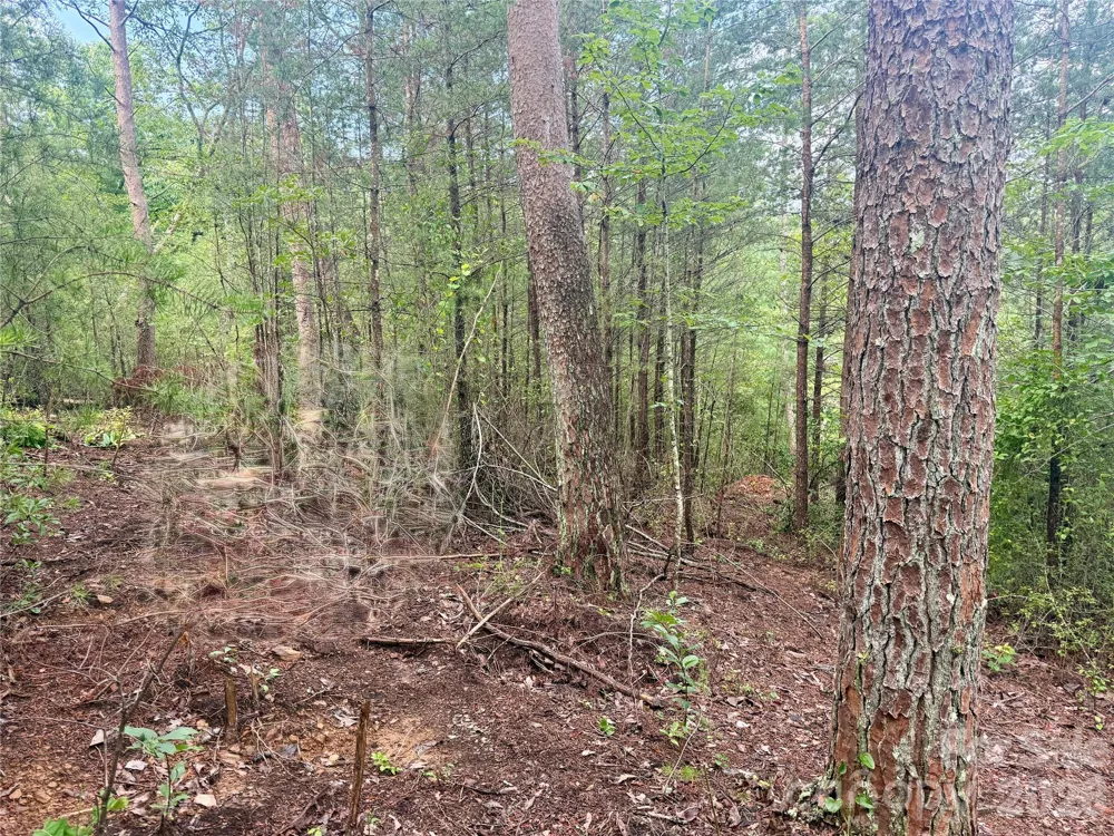 V/L Tahawus Drive #92 Bostic, NC 28018