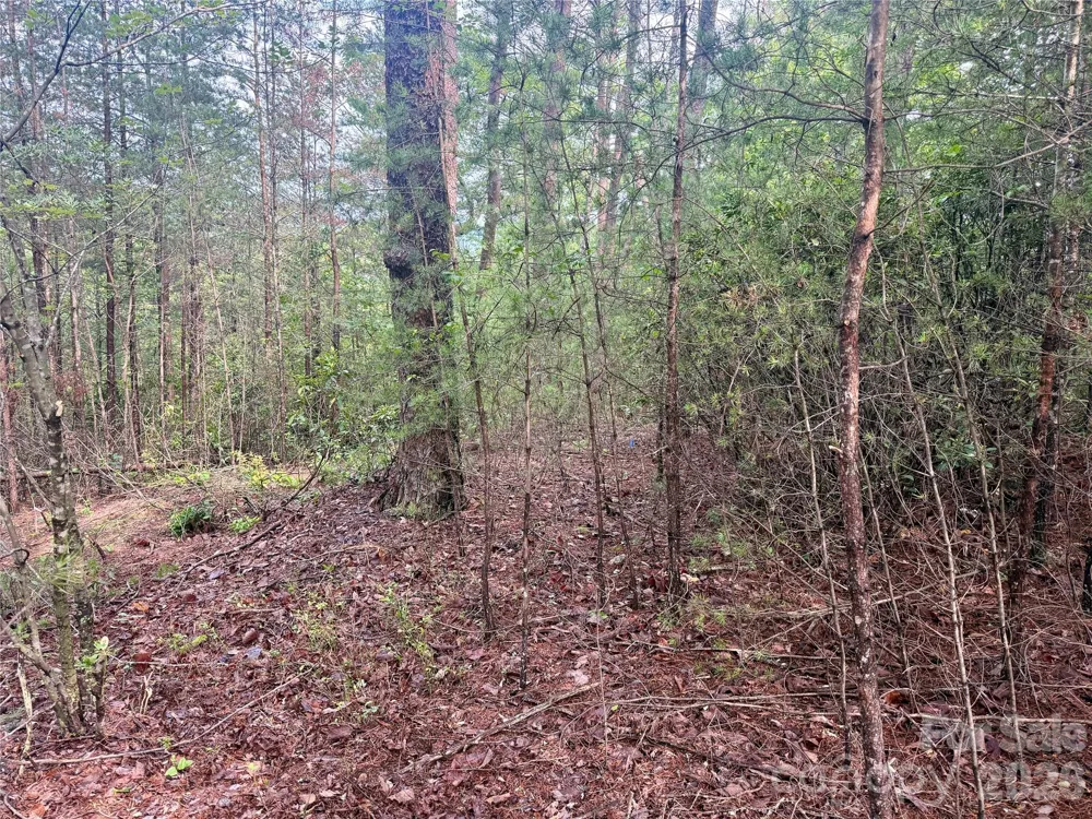 V/L Tahawus Drive #92 Bostic, NC 28018