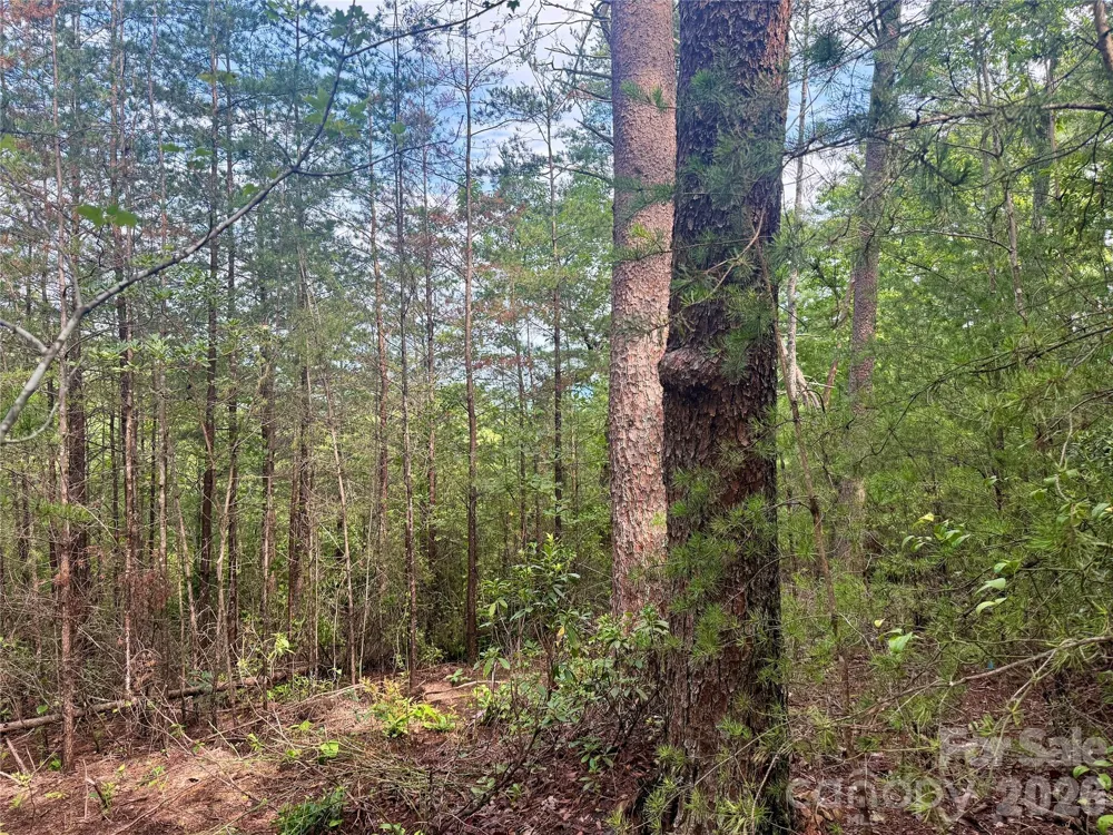 V/L Tahawus Drive #92 Bostic, NC 28018