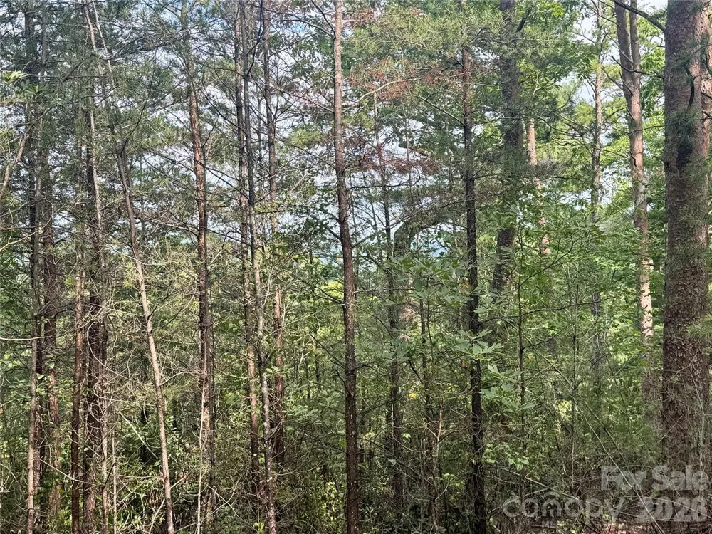 V/L Tahawus Drive #92 Bostic, NC 28018