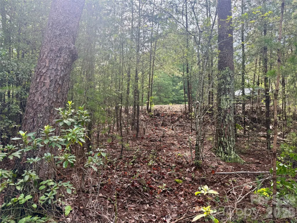 V/L Tahawus Drive #92 Bostic, NC 28018
