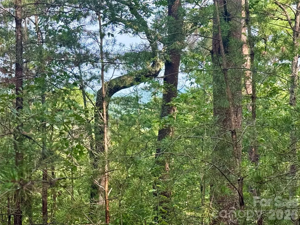 V/L Tahawus Drive #92 Bostic, NC 28018