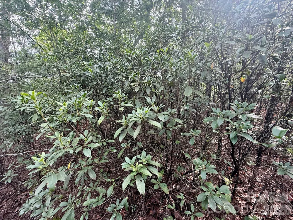 V/L Tahawus Drive #92 Bostic, NC 28018