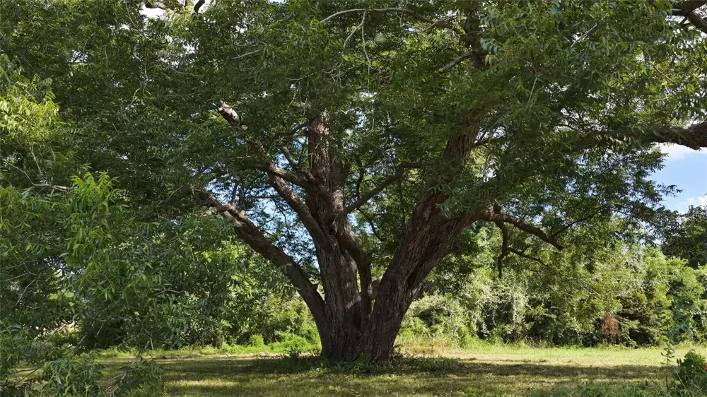 4410 Clay Creek Road Brenham, TX 77833
