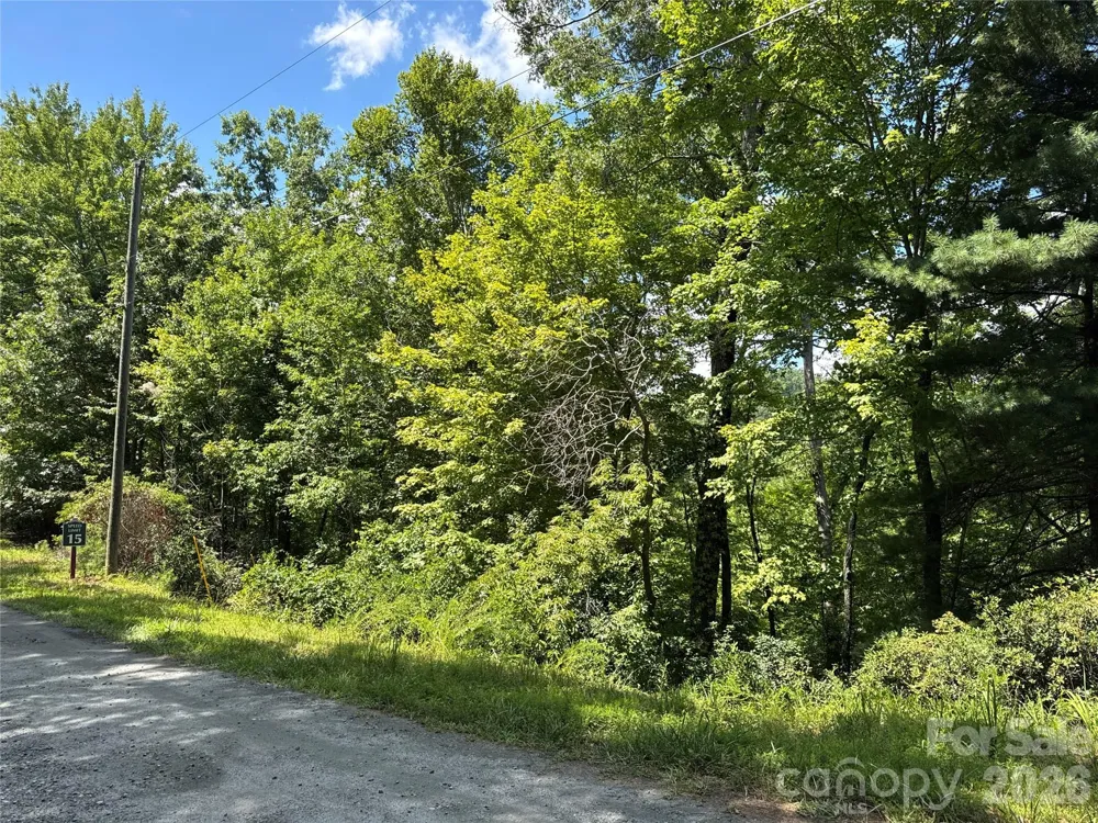 0 Quails Run Boulevard Lake Lure, NC 28746