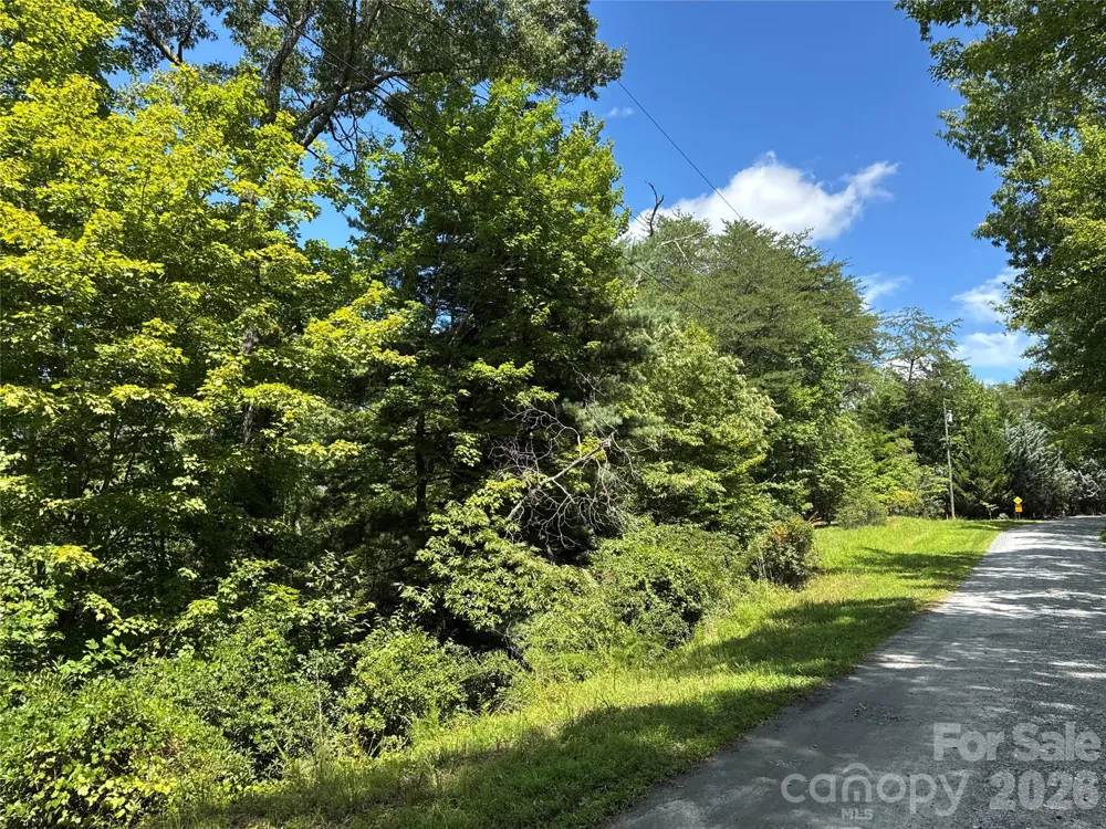 0 Quails Run Boulevard Lake Lure, NC 28746