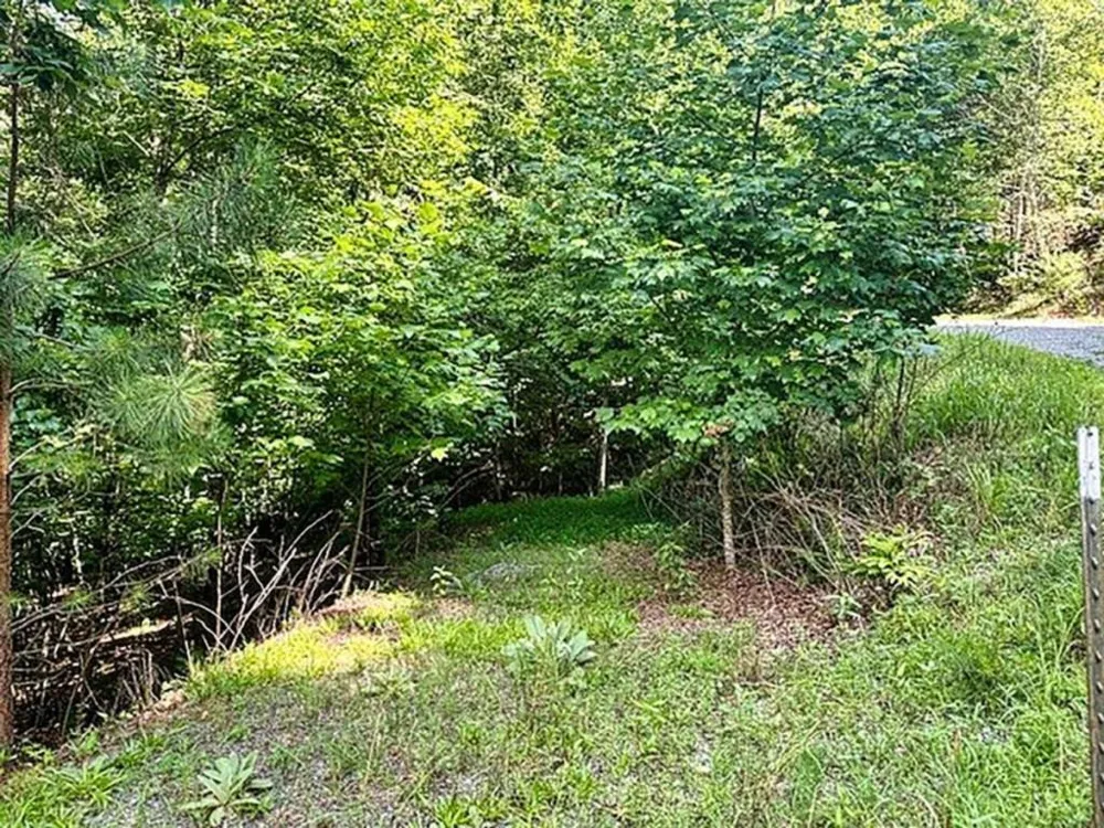 LOT 26 Toccoa Preserve Blue Ridge, GA 30513