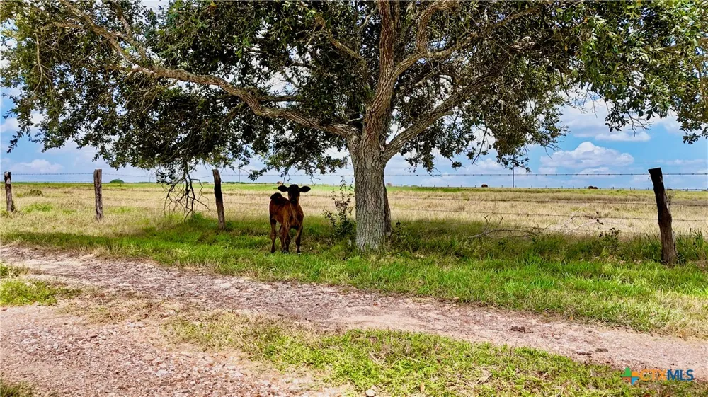 4228 County Road 256 Moulton, TX 77975