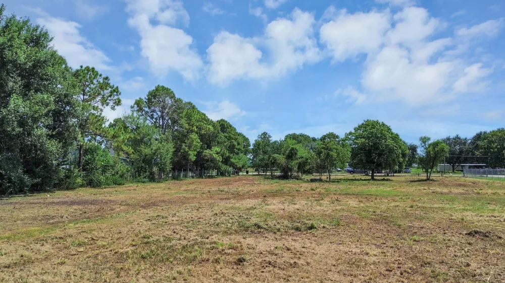 2920 Blackwood Road Rosenberg, TX 77471