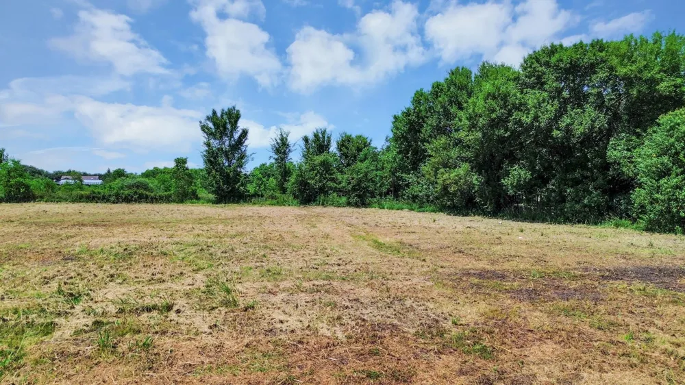 2920 Blackwood Road Rosenberg, TX 77471