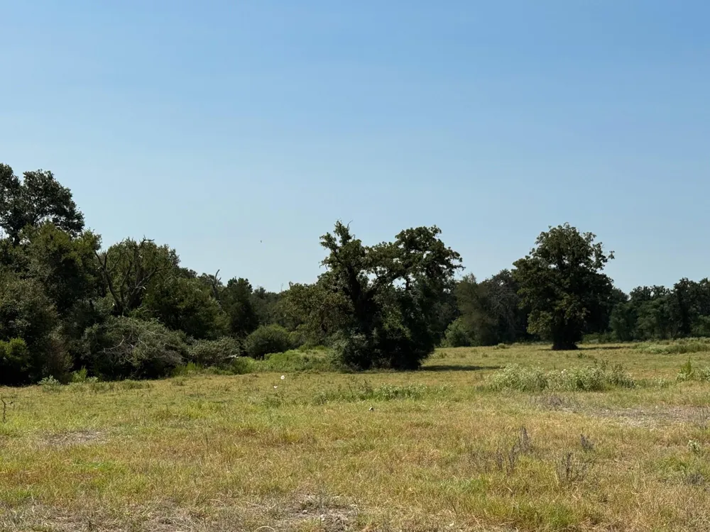 6880 Pr 3550 Marquez, TX 77865