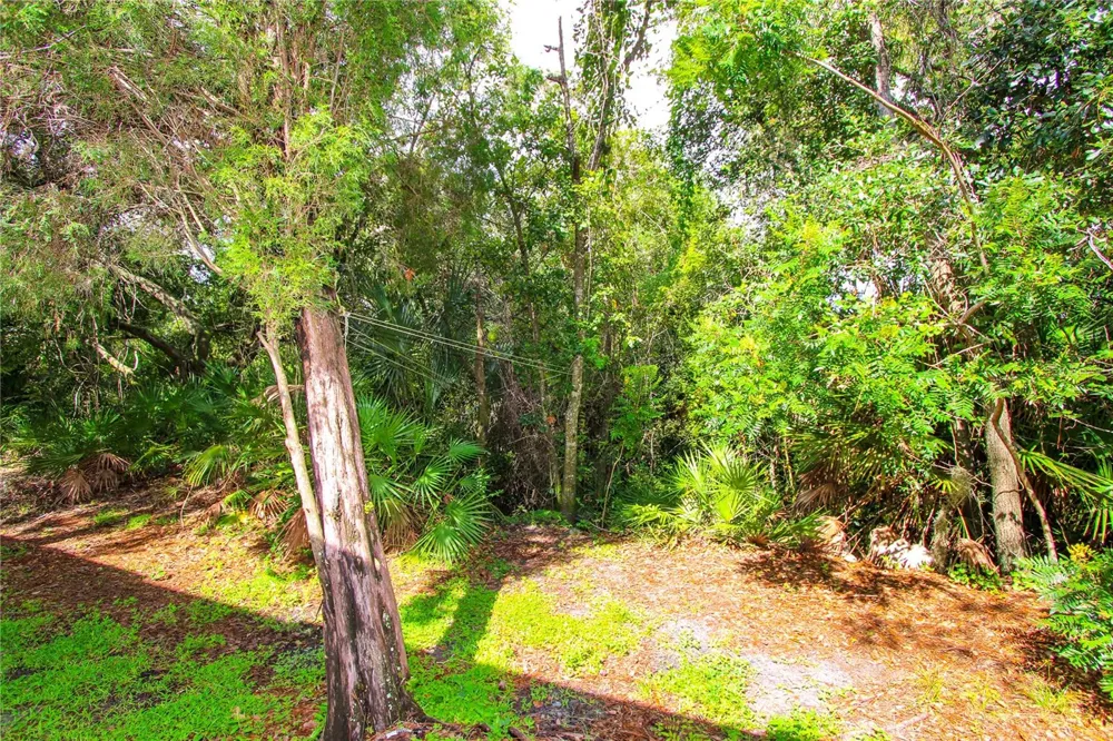 2722 CONCH HOLLOW DRIVE Brandon, FL 33511