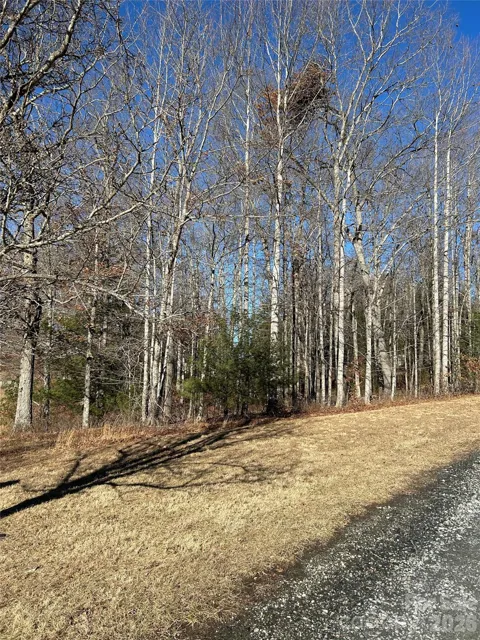 TBD Bear Den Road #23