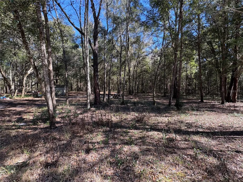 11727 SW 122ND STREET Gainesville, FL 32608