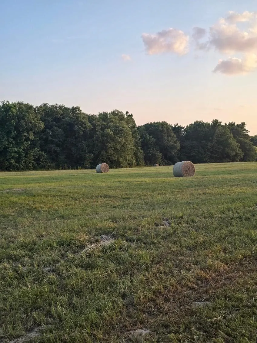 20086 County Road 299 Arp, TX 75750