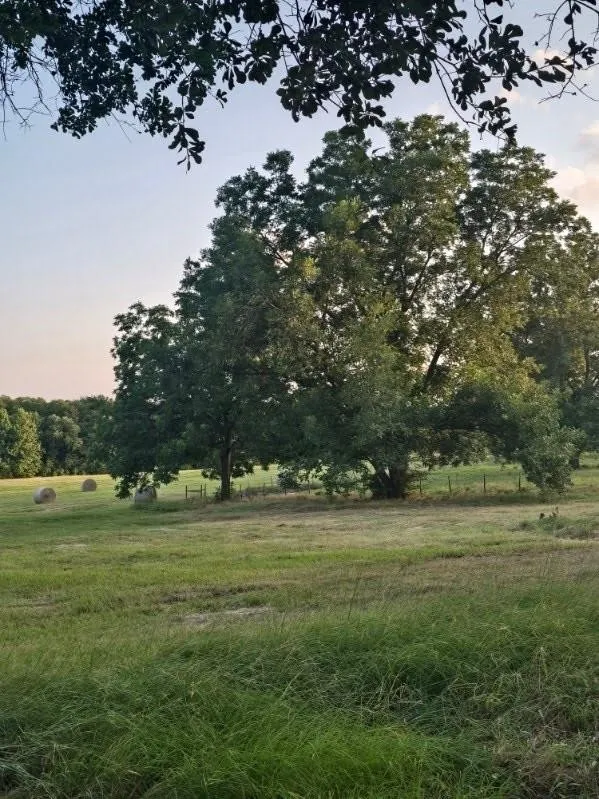 20086 County Road 299 Arp, TX 75750