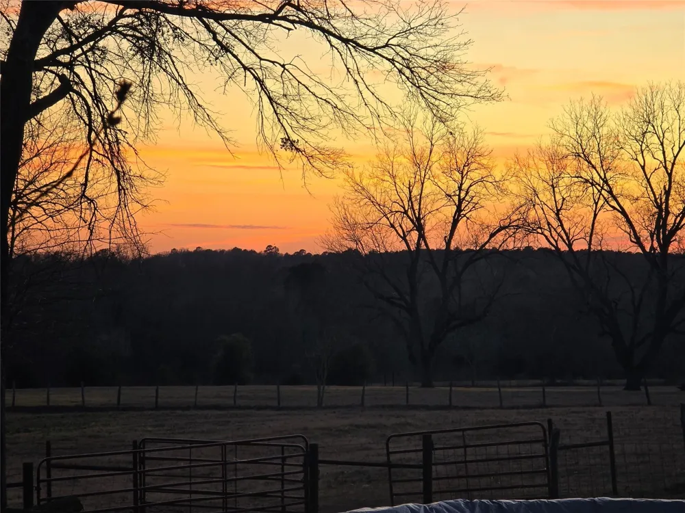 20086 County Road 299 Arp, TX 75750