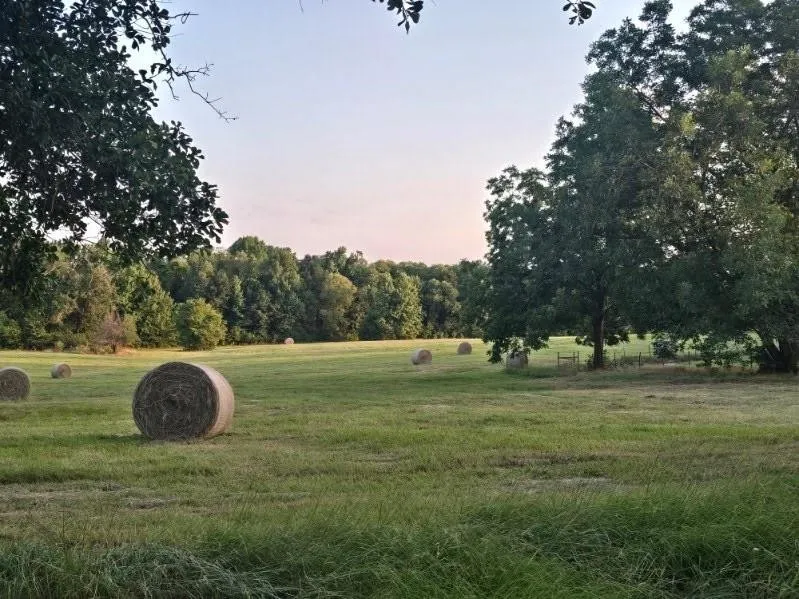 20086 County Road 299 Arp, TX 75750