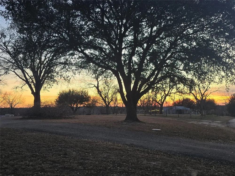20086 County Road 299 Arp, TX 75750