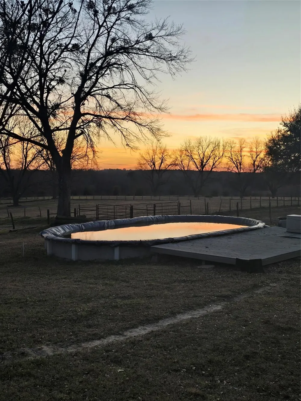 20086 County Road 299 Arp, TX 75750