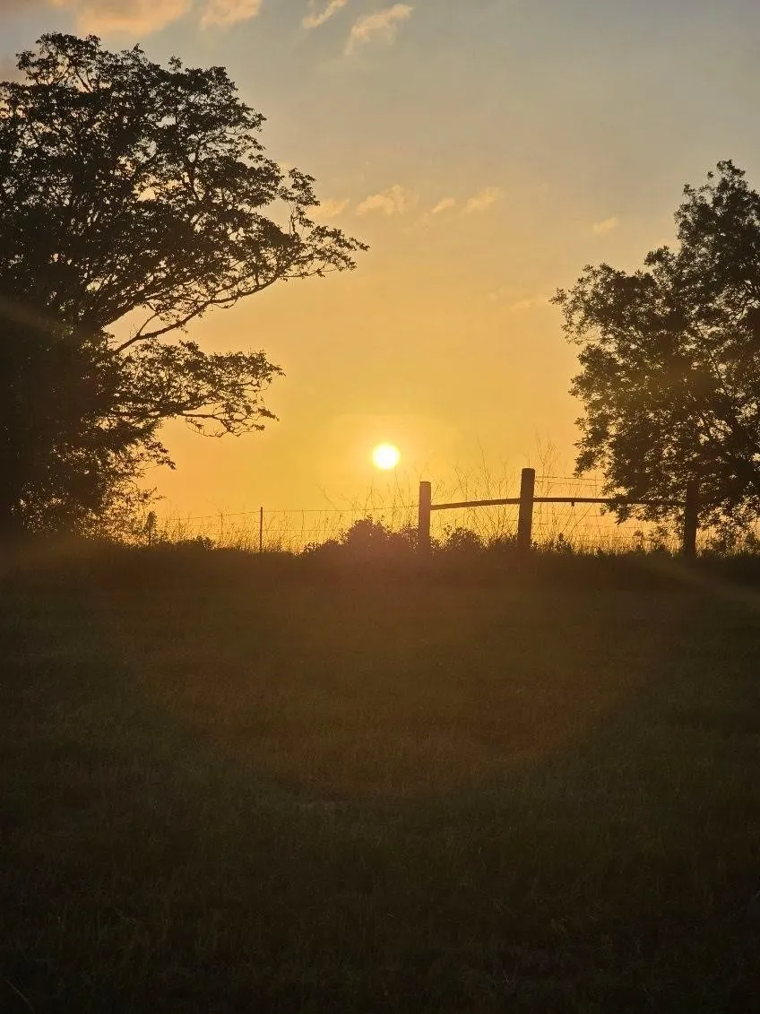 20086 County Road 299 Arp, TX 75750