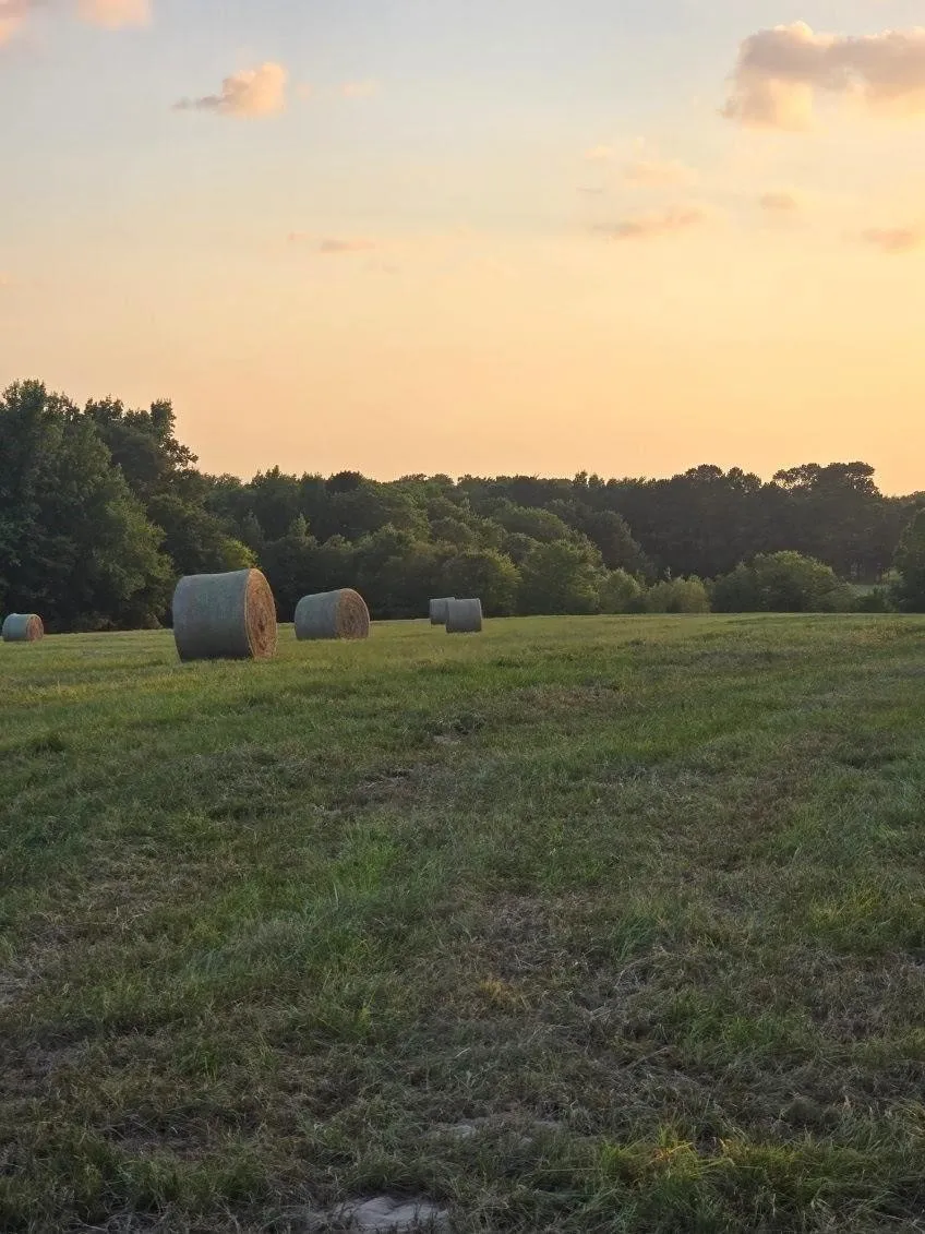 20086 County Road 299 Arp, TX 75750