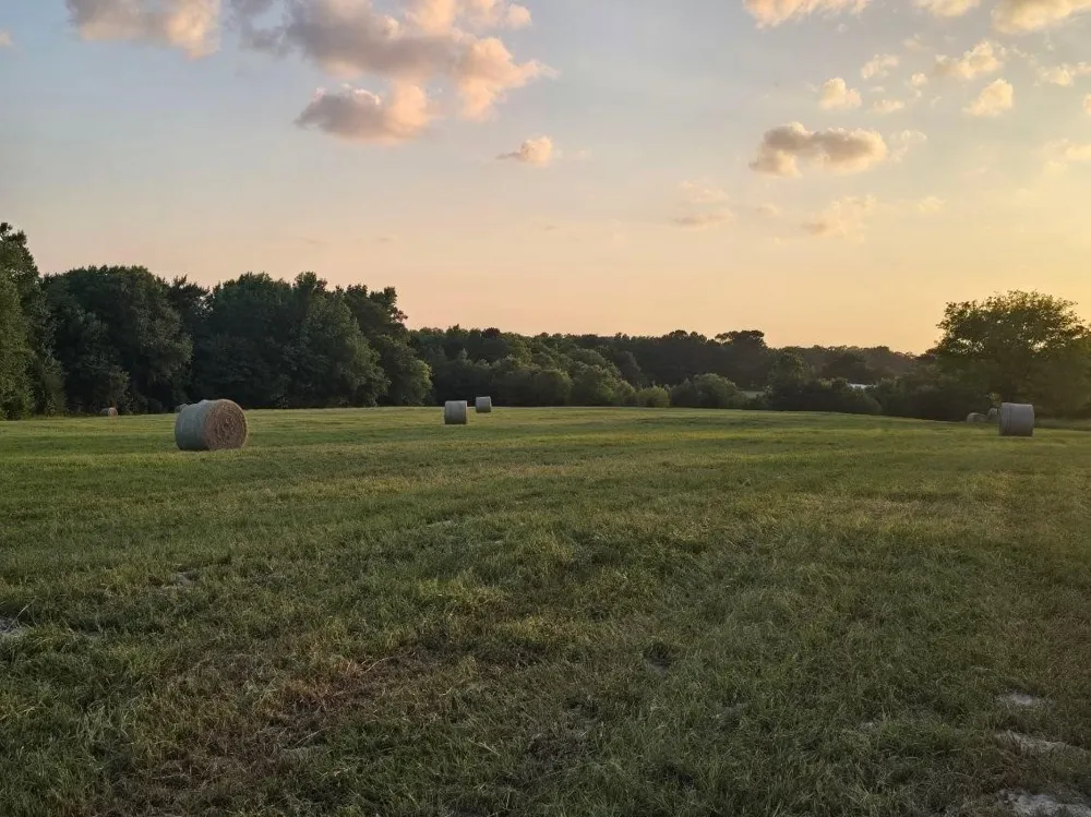 20086 County Road 299 Arp, TX 75750