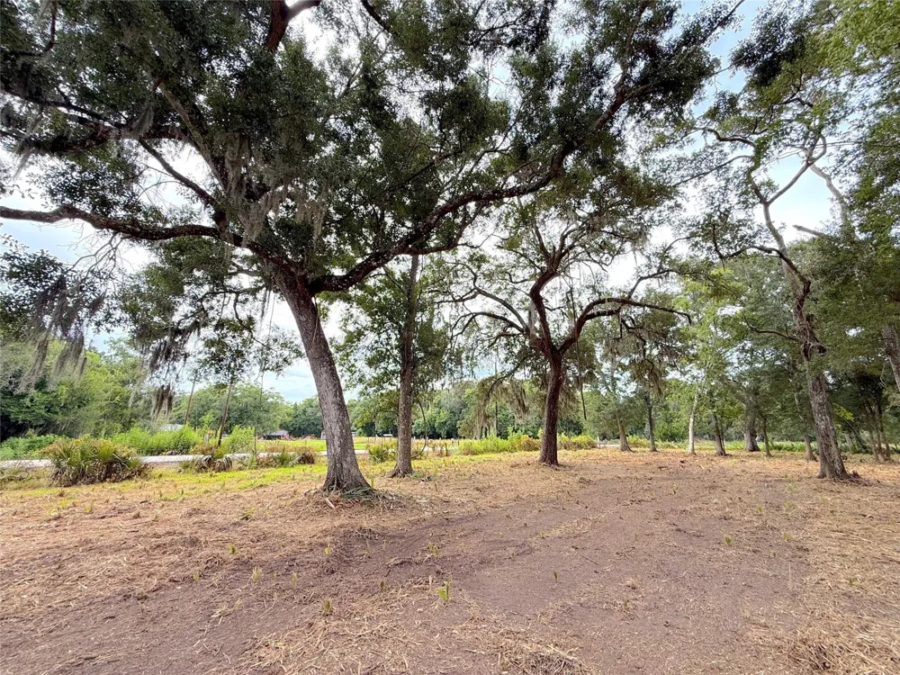 12 Cr 345 Brazoria, TX 77422