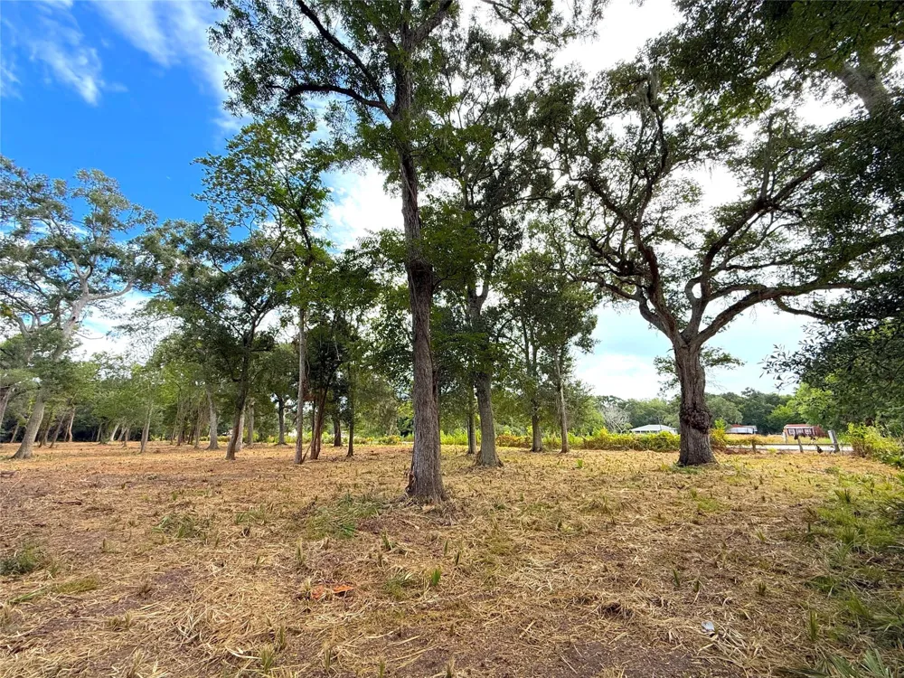 12 Cr 345 Brazoria, TX 77422