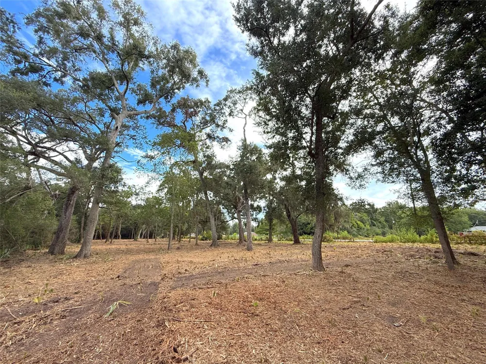 12 Cr 345 Brazoria, TX 77422