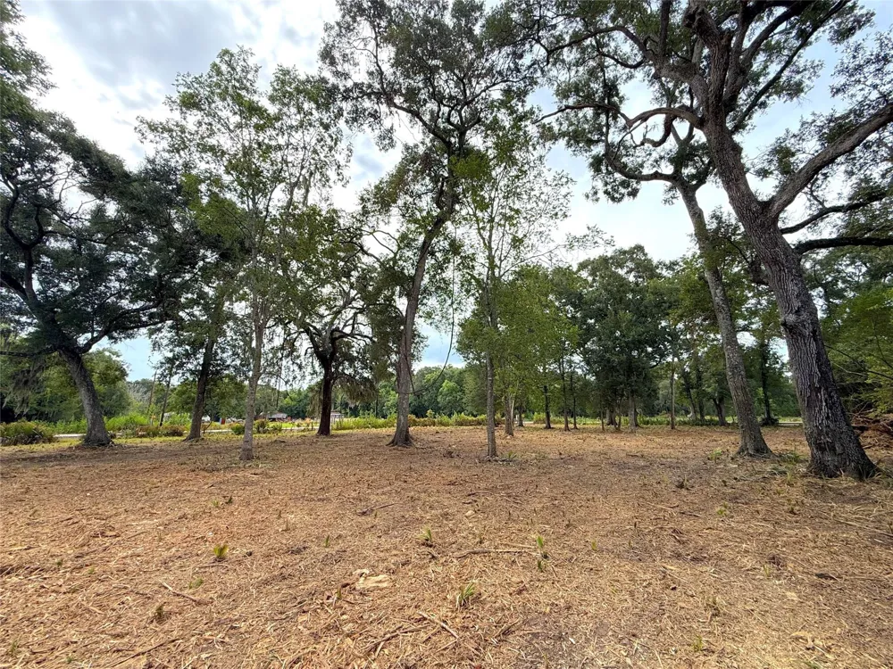 12 Cr 345 Brazoria, TX 77422