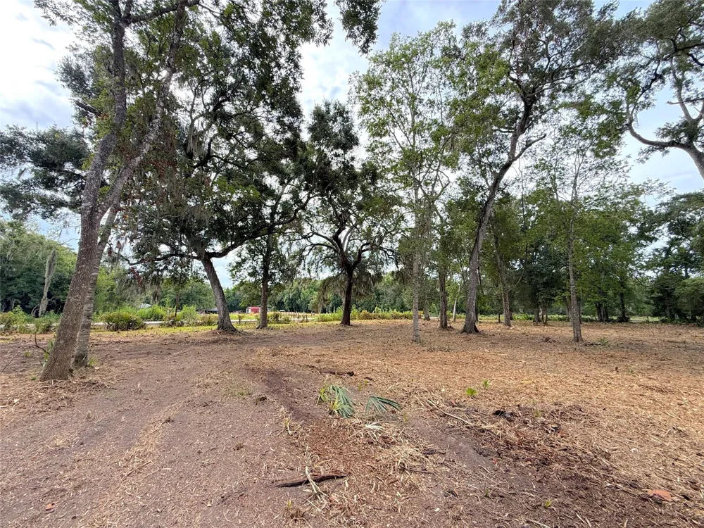 12 Cr 345 Brazoria, TX 77422