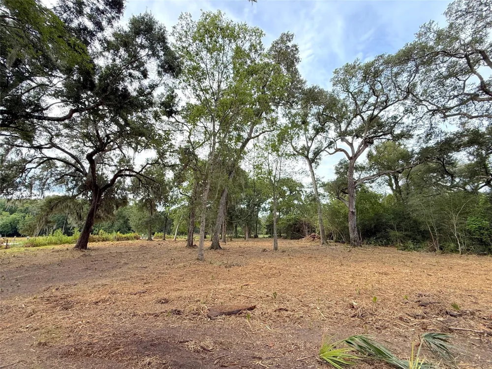 12 Cr 345 Brazoria, TX 77422
