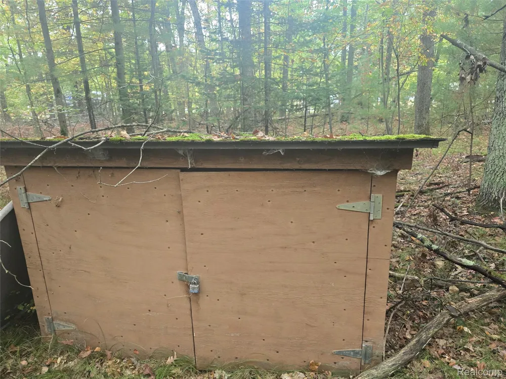 Lucinda Mills Township, MI 48756