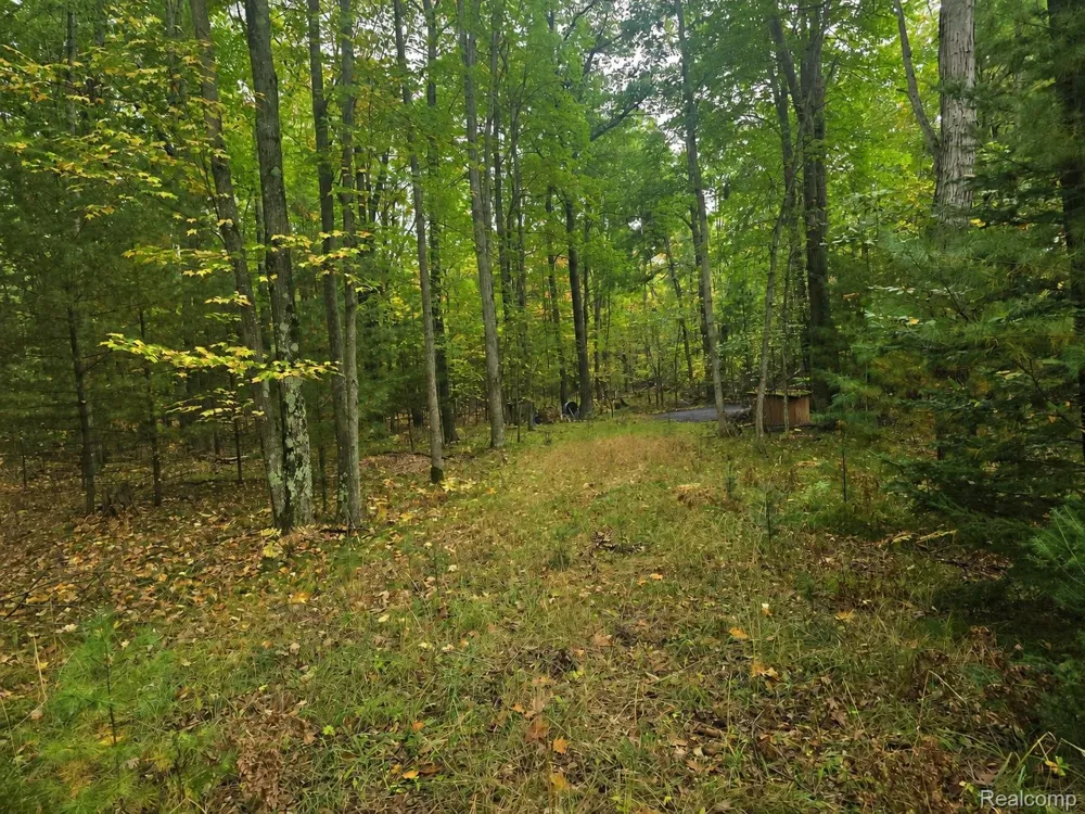 Lucinda Mills Township, MI 48756